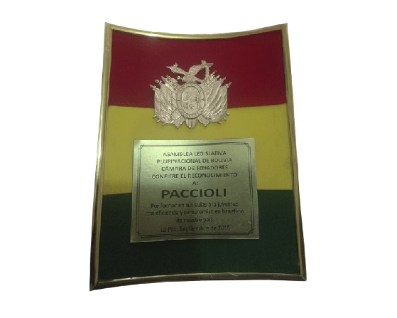 Recognition 1